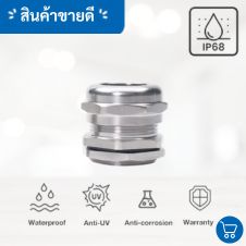 ตู้สแตนเลสฝาทึบรุ่นมาตรฐาน 30 เคเบิ้ลแกลนภาษาอังกฤษ