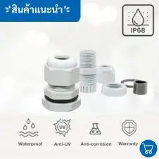 เคเบิ้ลแกลนพลาสติกคืออะไร ทำหน้าที่อะไร? 2 เคเบิ้ลแกลนพลาสติกคืออะไร