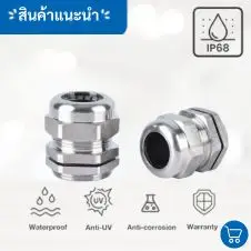 เคเบิ้ลแกลนด์ชุบนิกเกิ้ล Cable Gland ทองเหลือง 2 Cable Gland ทองเหลือง