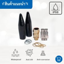 เคเบิ้ลแกลนทองเหลือง กันระเบิดโลหะนิกเกิล 2 เคเบิ้ลแกลน ทองเหลืองกันระเบิด